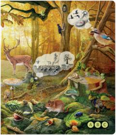 Albi Kouzelné čtení Kniha interaktivní Hravá přírodověda