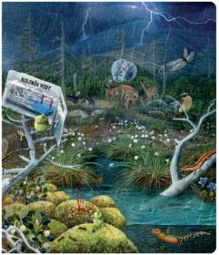 Albi Kouzelné čtení Kniha interaktivní Hravá přírodověda