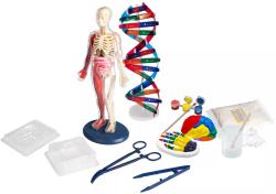 Albi SCIENCE Lidské tělo průvodce anatomií lidského těla