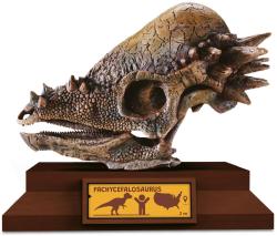 Albi Science Lovci lebek Pachycephalosaurus vykopej a vystav si lebku dinosaura