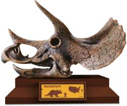 Albi Science Lovci lebek Triceratops vykopej a vystav si lebku dinosaura