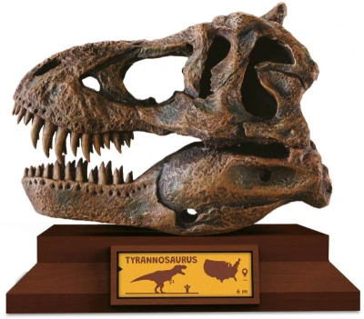 Albi Science Lovci lebek Tyrannosaurus vykopej a vystav si lebku dinosaura