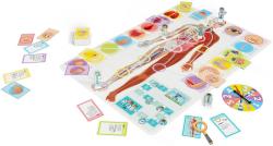 Asmodee Hra Pojďme se učit: Naše úžasné tělo (společenská hra)