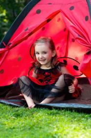 Baby Mix Dětský stan Beruška s tunelem červený