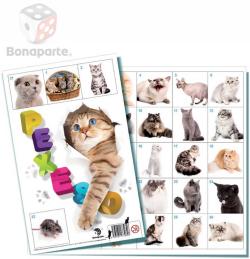 Bonaparte Pexeso Kočky 32 dvojic fotografie (společenská hra) Bonaparte Pexeso Kočky 32 dvojic fotografie (společenská hra)