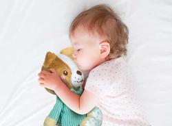 Clementoni PLYŠ Baby můj první pejsek 28cm v dárkové krabici pro miminko