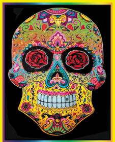 Colorvelvet Sametový obrázek Lebka 47x35cm