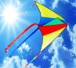 Drak létající nylonový 110x63cm jednošňůrový barevný