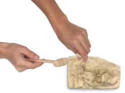 Efko IGRÁČEK Paleontoložka figurka dino vykopávky Parasaurolophuse a Diplod