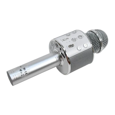ELJET Karaoke mikrofón Globe Silver