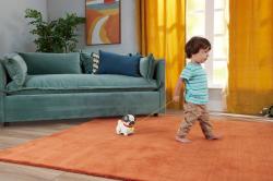 Fisher Price Baby pes mopslík chodící tahací na kolečkách plast