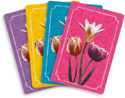 HRA Třpytivé květy rodinná (společenská hra)