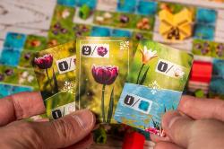 HRA Třpytivé květy rodinná (společenská hra)