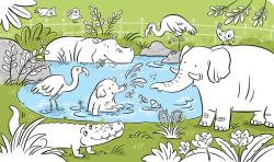 Jiri Models Maluj vodou Zas a znovu Zvířátka ZOO