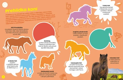 Jiri Models Poznávací samolepková knížka s kvízem Koně