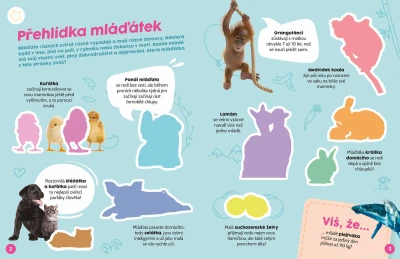 Jiri Models Poznávací samolepková knížka s kvízem Mláďátka zvířátka