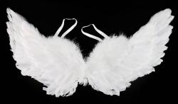 KARNEVAL Křídla andělská s peřím 50cm (karnevalový doplněk)