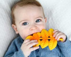 Lanco Zlatý list jeřabina 13cm baby kousátko přírodní kaučuk pro miminko