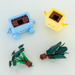 Lego BOTANICALS Veselé rostlinky 10349 (stavebnice)