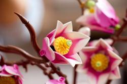 Lego BOTANICALS Větvičky magnólie 11510 (stavebnice)