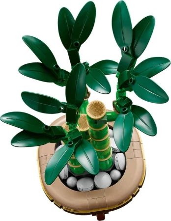 Lego BOTANICALS Bambus štěstí 10344 (stavebnice)