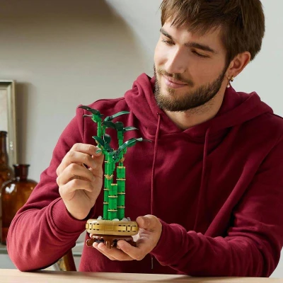Lego BOTANICALS Bambus štěstí 10344 (stavebnice)
