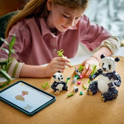 Lego CREATOR Divoká zvířata: Pandí rodinka 3v1 31165 (stavebnice)