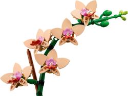 Lego BOTANICALS Miniaturní orchidej 10343 (stavebnice)