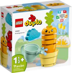 Lego DUPLO Pěstování mrkve 10981 (stavebnice)