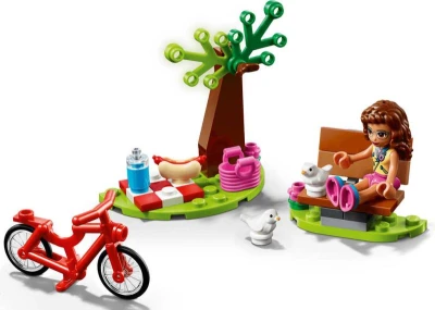 Lego FRIENDS Piknik v parku 30412 (stavebnice)