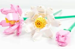 Lego Lotosové květy 40647 (stavebnice)
