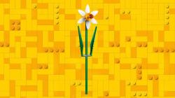 Lego Narcisy 40747 (stavebnice)