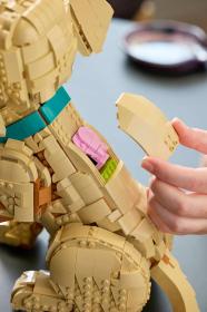 Lego ICONS Štěně zlatého retrívra 11384 (stavebnice)