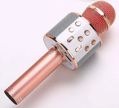 Mikrofon bezdrátový dětský Selfie / FM Radio / USB / REC na baterie 5 barev
