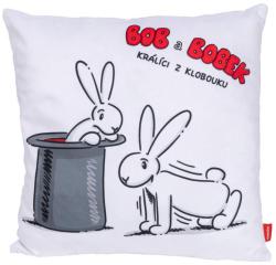 Moravská ústředna Polštář Bob a Bobek cvičit 30x30cm s potiskem