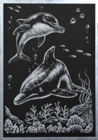 Obrázek škrabací stříbrný zvířátka A5 set s nástrojem různé druhy