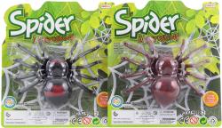 Pavouk lezoucí zvířátko natahovací na klíček plast 2 druhy