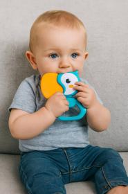 PLAYGRO Chrastítko pták tukan baby kousátko pro miminko