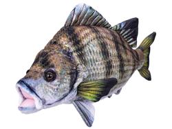 PLYŠ Kapr 45cm (plyšová hračka)