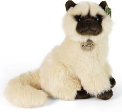 PLYŠ Kočka britská dlouhosrstá 30cm Eco-Friendly (plyšová hračka)