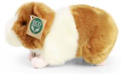 PLYŠ Morče 20cm Eco-Friendly (plyšová hračka)