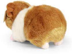 PLYŠ Morče 20cm Eco-Friendly (plyšová hračka)