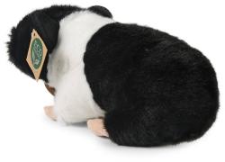 PLYŠ Morče 22cm Eco-Friendly (plyšová hračka)