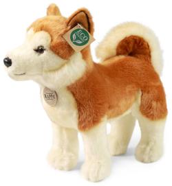 PLYŠ Pes Akita Inu 30cm Eco-Friendly (plyšová hračka)