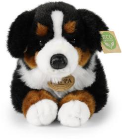 PLYŠ Pes Bernský salašnický 34cm Eco-Friendly (plyšová hračka)