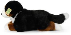 PLYŠ Pes Bernský salašnický 34cm Eco-Friendly (plyšová hračka)