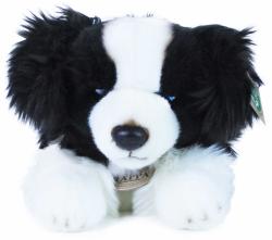 PLYŠ Pes Border kolie 30cm Eco-Friendly (plyšová hračka)