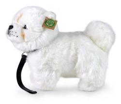 PLYŠ Pes Čau-čau 30cm na vodítku Eco-Friendly (plyšová hračka)