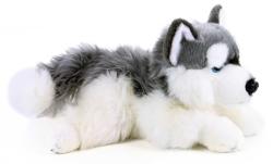 PLYŠ Pes husky 30cm ležící (plyšová hračka)