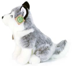 PLYŠ Pes Husky 30cm sedící Eco-Friendly (plyšová hračka)
